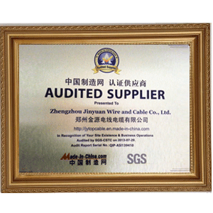 SGS Audited Supplier