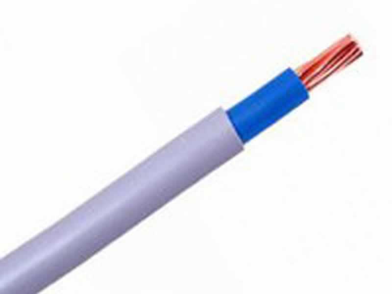 6181Y Single Core copper conductor,PVC Insulated PVC Sheathed Electric Wiring Cables (300/500V)