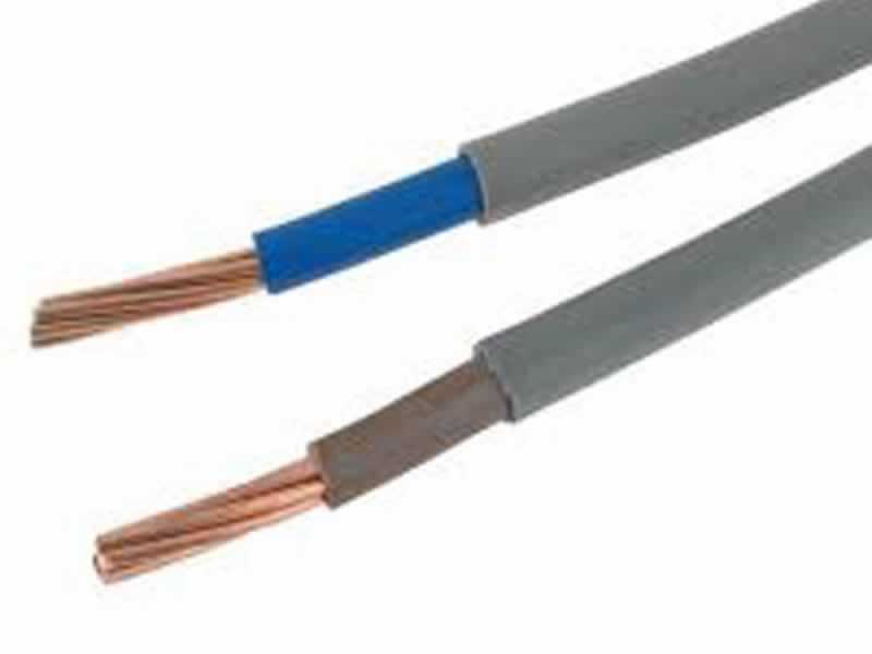 6181Y Single Core copper conductor,PVC Insulated PVC Sheathed Electric Wiring Cables (300/500V)